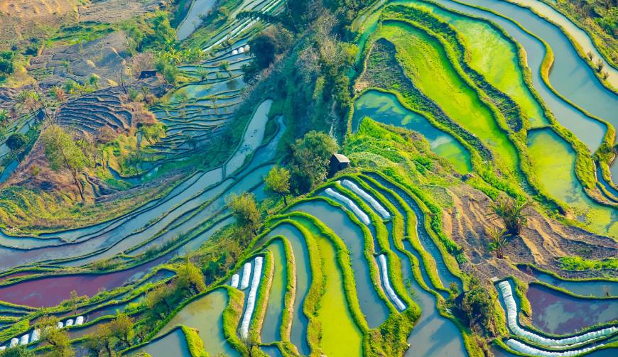 宝妈必备神器：瓯海区产品视频拍摄轻松育儿好帮手