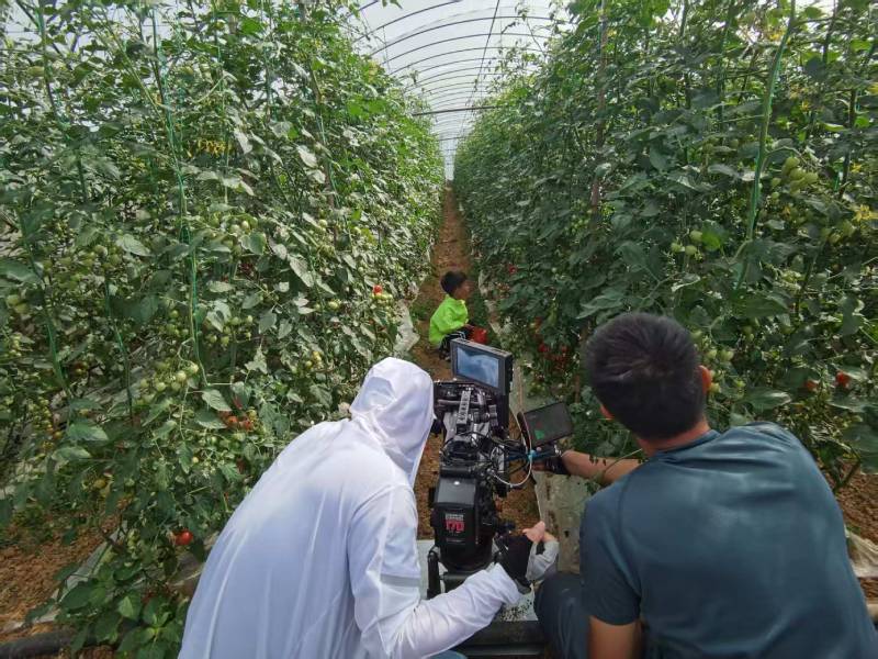 瓯海区产品宣传视频拍摄公司进阶指南，助力品牌抢占传播高地